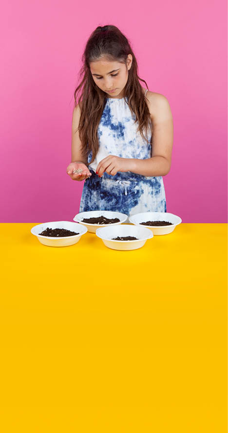 Genève, le 14 juin 2017, Université de Genève, faculté des sciences, expérience de mathématique pour les enfants proposées par bioscope, démonstration de Anna, ici l expérience de la germination des graines    Mathieu Rod