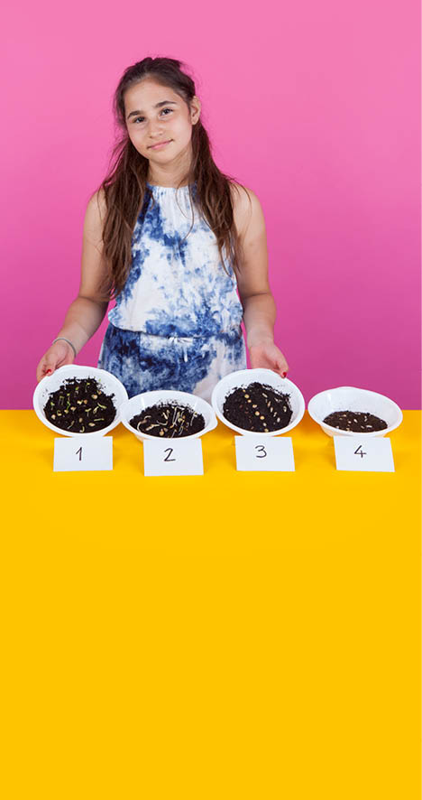 Genève, le 14 juin 2017, Université de Genève, faculté des sciences, expérience de mathématique pour les enfants proposées par bioscope, démonstration de Anna, ici l expérience de la germination des graines    Mathieu Rod