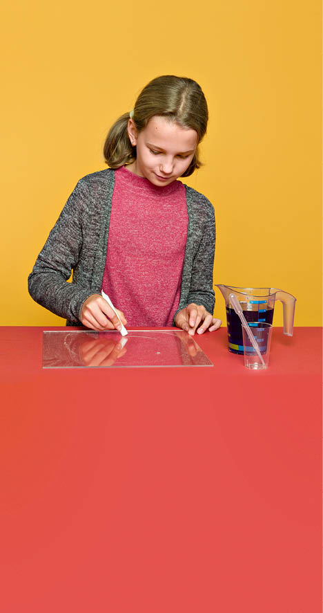 Physiscope, Experiences enfants